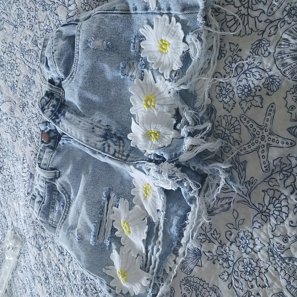 Fashion Nova shorts